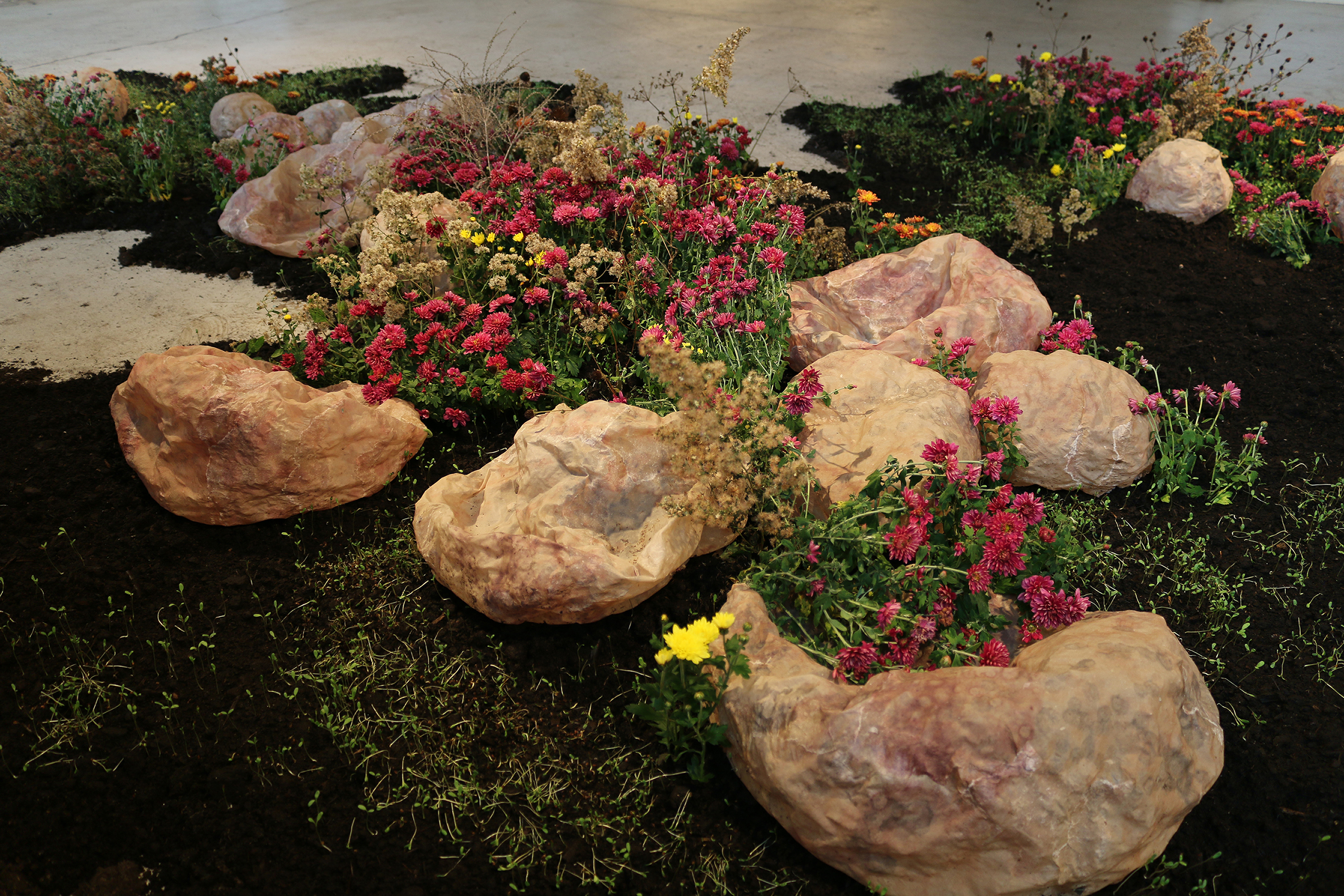 yeonhee-cheong_growth-and-decay-3